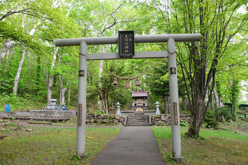 cổng Torii trên đỉnh núi Tengu